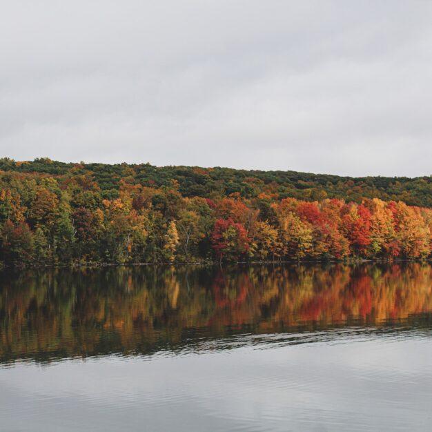 trees with fall colors in front of a body of water